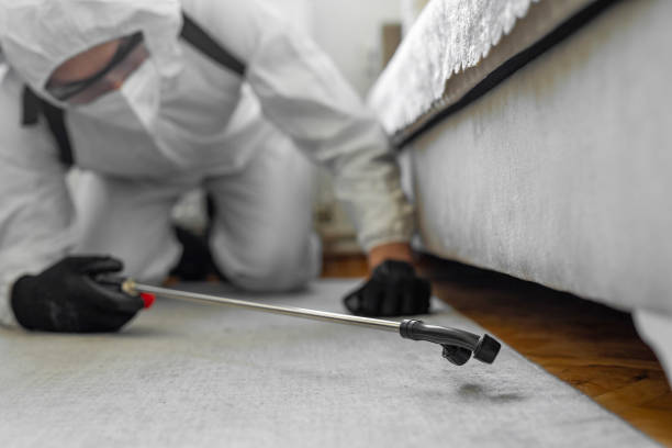 Professional Termite Control technician working in Chetek, WI