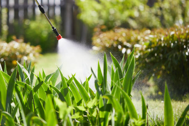 24/7 Emergency Termite Control experts in Chetek, WI
