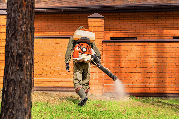 Trusted Termite Control service in Chetek, WI - Nex Pest Control
